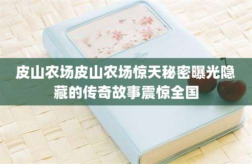 皮山农场皮山农场惊天秘密曝光隐藏的传奇故事震惊全国