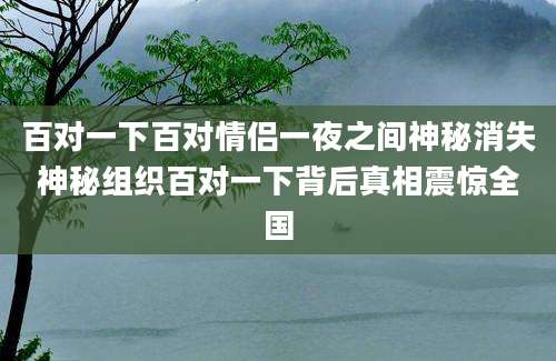 百对一下百对情侣一夜之间神秘消失神秘组织百对一下背后真相震惊全国