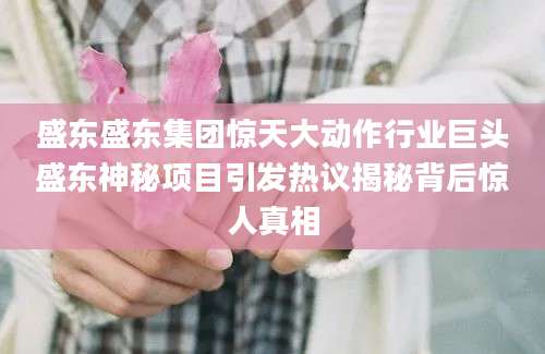 盛东盛东集团惊天大动作行业巨头盛东神秘项目引发热议揭秘背后惊人真相