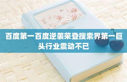 百度第一百度逆袭荣登搜索界第一巨头行业震动不已