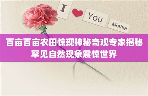 百亩百亩农田惊现神秘奇观专家揭秘罕见自然现象震惊世界
