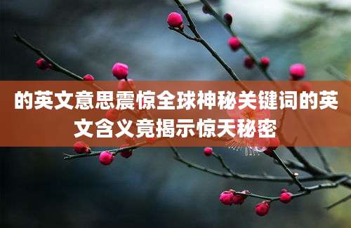 的英文意思震惊全球神秘关键词的英文含义竟揭示惊天秘密