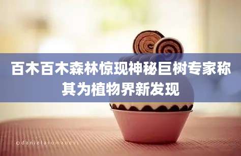 百木百木森林惊现神秘巨树专家称其为植物界新发现