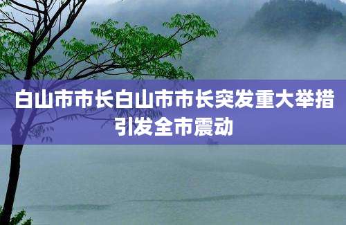 白山市市长白山市市长突发重大举措引发全市震动