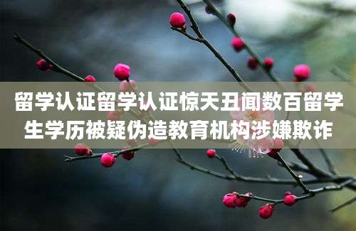 留学认证留学认证惊天丑闻数百留学生学历被疑伪造教育机构涉嫌欺诈