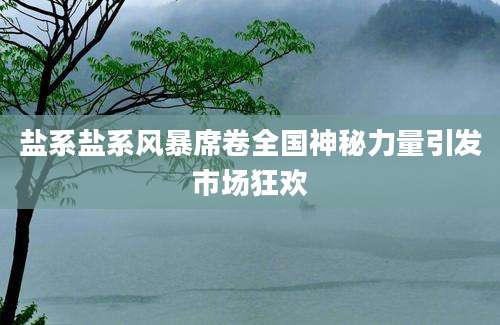 盐系盐系风暴席卷全国神秘力量引发市场狂欢