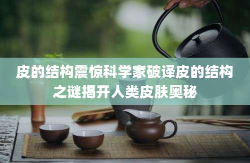 皮的结构震惊科学家破译皮的结构之谜揭开人类皮肤奥秘