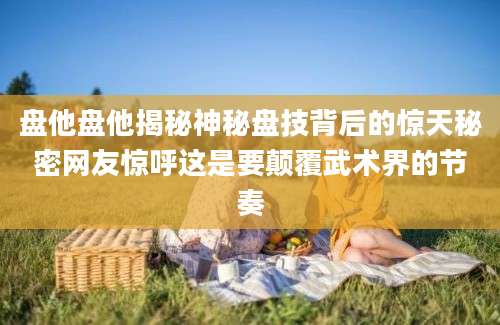 盘他盘他揭秘神秘盘技背后的惊天秘密网友惊呼这是要颠覆武术界的节奏