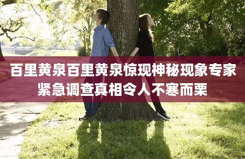 百里黄泉百里黄泉惊现神秘现象专家紧急调查真相令人不寒而栗