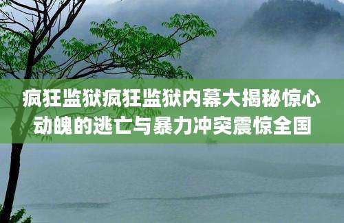 疯狂监狱疯狂监狱内幕大揭秘惊心动魄的逃亡与暴力冲突震惊全国