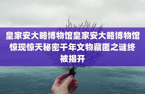 皇家安大略博物馆皇家安大略博物馆惊现惊天秘密千年文物藏匿之谜终被揭开