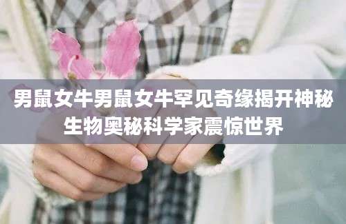 男鼠女牛男鼠女牛罕见奇缘揭开神秘生物奥秘科学家震惊世界