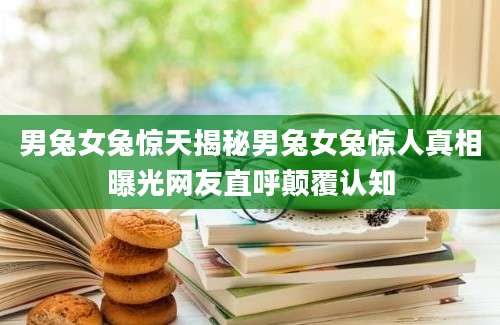 男兔女兔惊天揭秘男兔女兔惊人真相曝光网友直呼颠覆认知