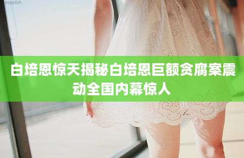 白培恩惊天揭秘白培恩巨额贪腐案震动全国内幕惊人