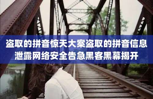 盗取的拼音惊天大案盗取的拼音信息泄露网络安全告急黑客黑幕揭开