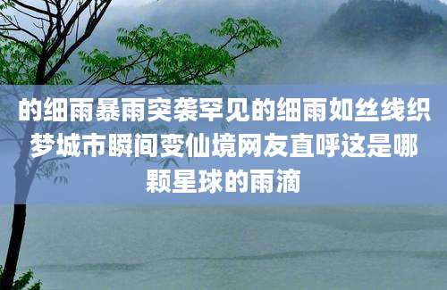 的细雨暴雨突袭罕见的细雨如丝线织梦城市瞬间变仙境网友直呼这是哪颗星球的雨滴
