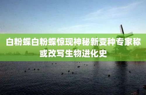 白粉蝶白粉蝶惊现神秘新变种专家称或改写生物进化史