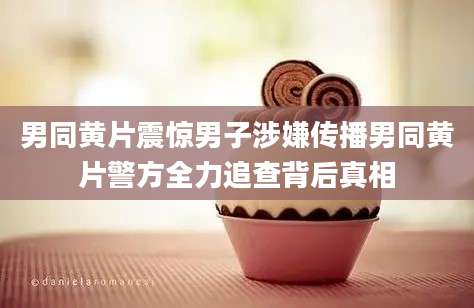 男同黄片震惊男子涉嫌传播男同黄片警方全力追查背后真相