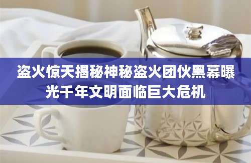 盗火惊天揭秘神秘盗火团伙黑幕曝光千年文明面临巨大危机