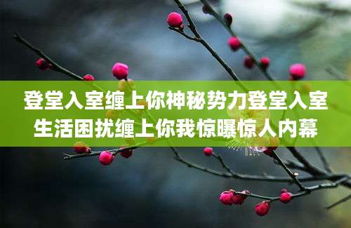 登堂入室缠上你神秘势力登堂入室生活困扰缠上你我惊曝惊人内幕