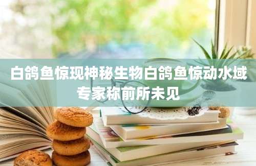 白鸽鱼惊现神秘生物白鸽鱼惊动水域专家称前所未见