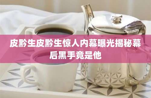 皮黔生皮黔生惊人内幕曝光揭秘幕后黑手竟是他