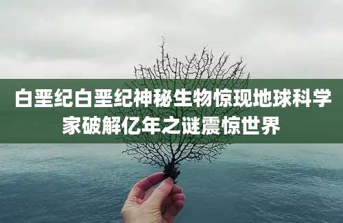 白垩纪白垩纪神秘生物惊现地球科学家破解亿年之谜震惊世界