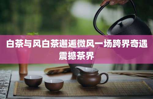 白茶与风白茶邂逅微风一场跨界奇遇震撼茶界