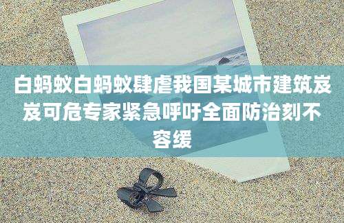 白蚂蚁白蚂蚁肆虐我国某城市建筑岌岌可危专家紧急呼吁全面防治刻不容缓