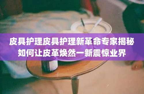 皮具护理皮具护理新革命专家揭秘如何让皮革焕然一新震惊业界