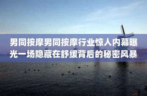 男同按摩男同按摩行业惊人内幕曝光一场隐藏在舒缓背后的秘密风暴