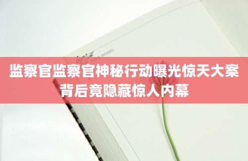 监察官监察官神秘行动曝光惊天大案背后竟隐藏惊人内幕