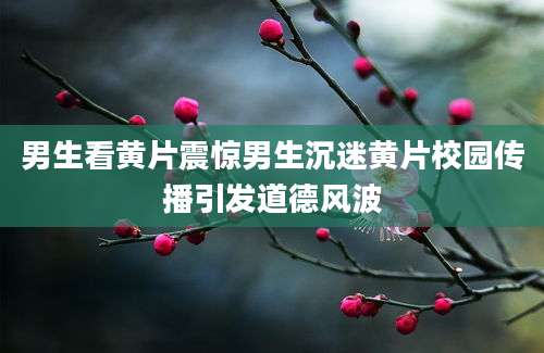 男生看黄片震惊男生沉迷黄片校园传播引发道德风波