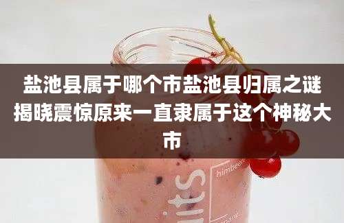 盐池县属于哪个市盐池县归属之谜揭晓震惊原来一直隶属于这个神秘大市