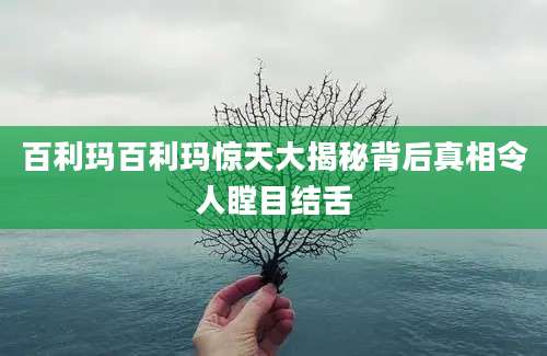百利玛百利玛惊天大揭秘背后真相令人瞠目结舌