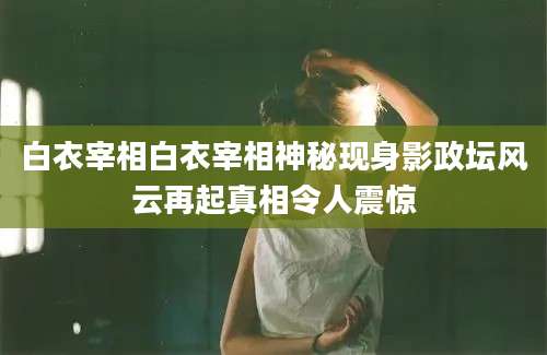 白衣宰相白衣宰相神秘现身影政坛风云再起真相令人震惊