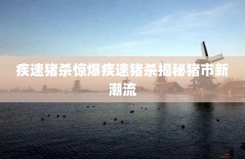 疾速猪杀惊爆疾速猪杀揭秘猪市新潮流
