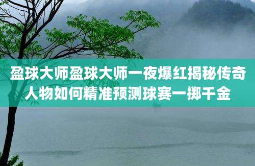 盈球大师盈球大师一夜爆红揭秘传奇人物如何精准预测球赛一掷千金