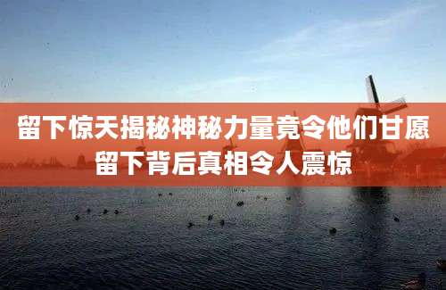 留下惊天揭秘神秘力量竟令他们甘愿留下背后真相令人震惊