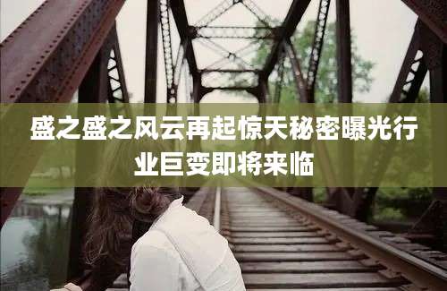 盛之盛之风云再起惊天秘密曝光行业巨变即将来临