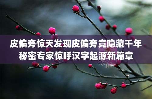 皮偏旁惊天发现皮偏旁竟隐藏千年秘密专家惊呼汉字起源新篇章