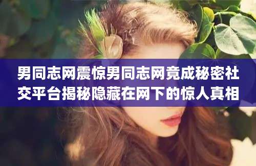 男同志网震惊男同志网竟成秘密社交平台揭秘隐藏在网下的惊人真相