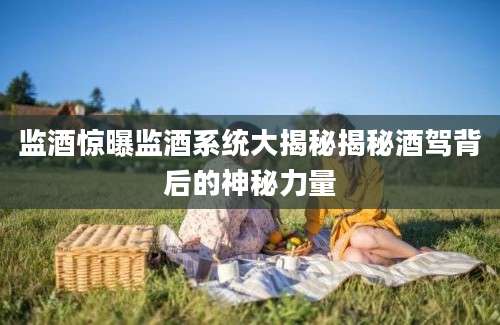 监酒惊曝监酒系统大揭秘揭秘酒驾背后的神秘力量