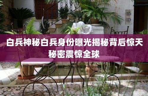 白兵神秘白兵身份曝光揭秘背后惊天秘密震惊全球