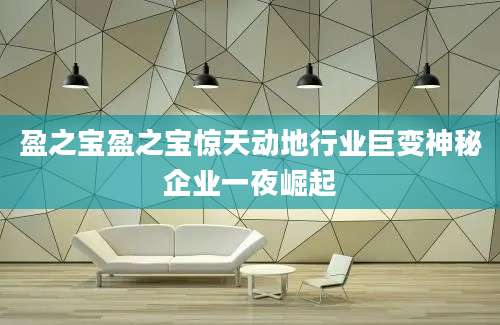 盈之宝盈之宝惊天动地行业巨变神秘企业一夜崛起