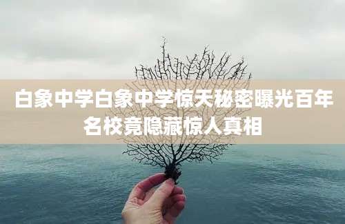 白象中学白象中学惊天秘密曝光百年名校竟隐藏惊人真相