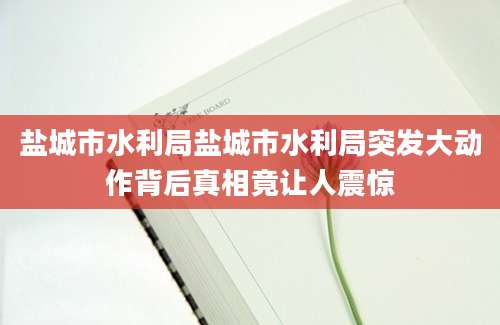 盐城市水利局盐城市水利局突发大动作背后真相竟让人震惊