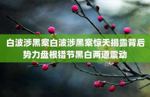 白波涉黑案白波涉黑案惊天揭露背后势力盘根错节黑白两道震动