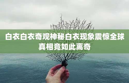 白衣白衣奇观神秘白衣现象震惊全球真相竟如此离奇