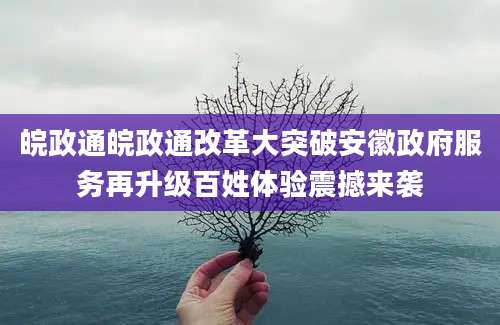 皖政通皖政通改革大突破安徽政府服务再升级百姓体验震撼来袭